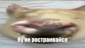 ? ЛУЧШИЕ КОНЦЕПТЫ В ЧИКЕН ГАНЕ ?