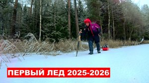 Первый лед Карелия. Ловля окуня по первому льду. Вечерний жор. Жерлицы на щуку. Зимняя рыбалка 2025