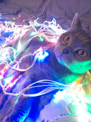 обзор комнаты в новогоднем стиле