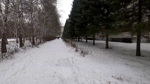 Басня Волк и Волчонок