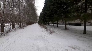 Басня Волк и Волчонок