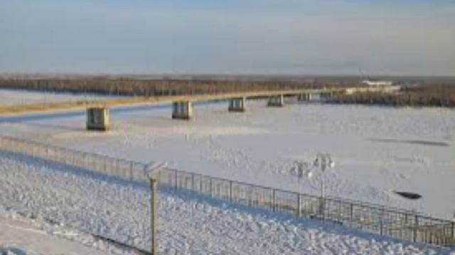 11 декабря - Сойкин день. Традиции и народные приметы