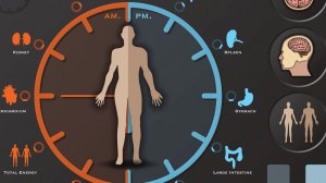 Секреты для достижения максимальных результатов