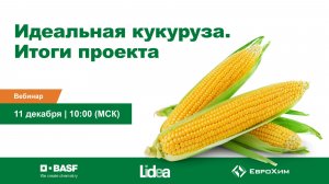 Вебинар совместно с компанией BASF и Lidea «Идеальная кукуруза. Итоги проекта»