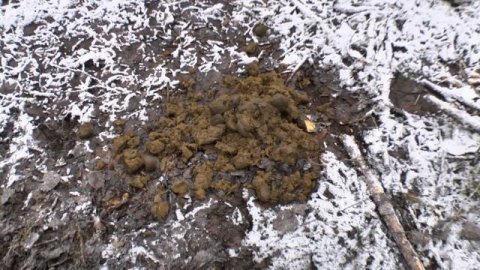 Фильм 69. Урочище Кидалово. Грустный выезд. Розыгрыш монеты 1600-х годов.