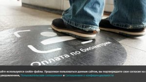 В РФ запустят доставку товаров 18+ по биометрии