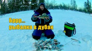 Ловля окуня и сороги на Ямале, на балансир и мормышки. Зимняя рыбалка 2020.