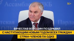 Вячеслав Володин поздравил с наступающим Новым годом всех граждан стран-членов ПА ОДКБ