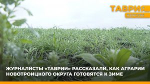 Журналисты "Таврии" рассказали, как аграрии Новотроицкого округа готовятся к зиме