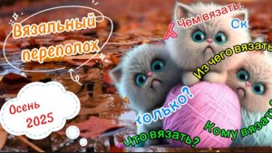 СП " Вязальный переполох Осень 2025 ". Итог.