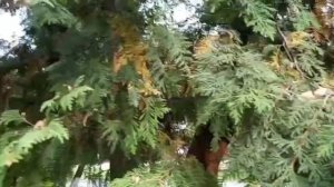 #путешествие Брянск природа красота лето