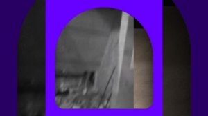 1000042005.mp4 (Собака смотрит на монтаж электропроводки (отверстия под м/коробки) в доме А-фрейм)