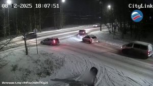 Публичная расправа над собакой в Петрозаводске попала на видео