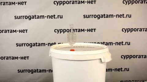 Тест спиртовых белорусских дрожжей с подкормкой из изюма