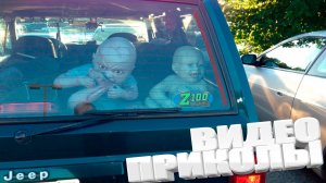 ВИДЕОПРИКОЛЫ \ КРУТЫЕ ПРИКОЛЫ 2025 \ НОВЫЕ ПРИКОЛЫ \ СМЕШНЫЕ ПРИКОЛЫ 2025 ЮМОР