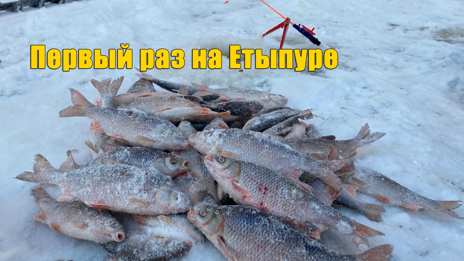 Ловля плотвы на мормышки. Зимняя рыбалка 2020.