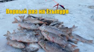 Ловля плотвы на мормышки. Зимняя рыбалка 2020.