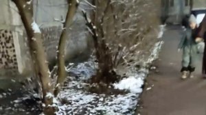 КТО-ТО ДОЛЖЕН БЫЛ ЭТО СКАЗАТЬ, МЫ ЖЕ И НЕ ЗНАЛИ. (ответ на комментарий)