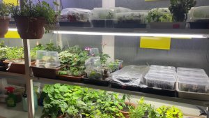 🏡 Авария! При температуре -28 градусов больше двух суток находились без отопления 🙈