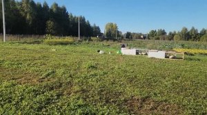 #318 Morning Farm Chores 22.09.2025