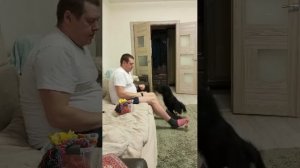 Спаниелька на связи!