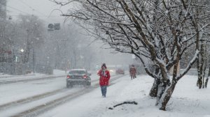 Снегопады и тридцатиградусные морозы обрушились на Казахстан. Потепление в Беларуси. Погода в СНГ