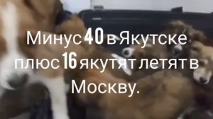 10-12-2025 семья, ты где? Я уже здесь