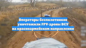 Операторы беспилотников уничтожили FPV-дроны ВСУ на красноармейском направлении