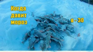 Вот как рыбачим в - 30. Зимняя рыбалка.