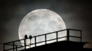 Ковальчук отверг идею запуска металлургического производства на Луне