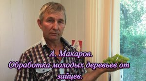 А. Макаров. Обработка молодых деревьев от зайцев.