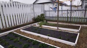 Собираю урожай, шпатлюем колонны.