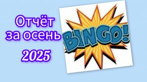 СП Бинго 2025, отчёт за осень, участник 116