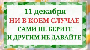 11 декабря - Сойкин день! Что нельзя делать 11 декабря? Народные приметы и традиции