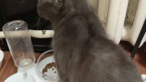 НЕ УМЕЮ ГОТОВИТЬ МЯСО☹️