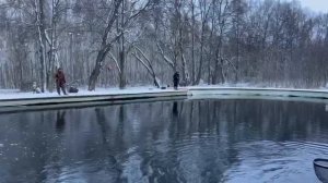 Запуск форели в лесной водоем