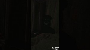 ANALOG HORROR FUNK (ULTRA SLOWED + EXTENDED)