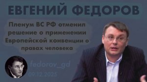 Евгений Федоров: Пленум ВС РФ отменил решение о применении Европейской конвенции о правах человека