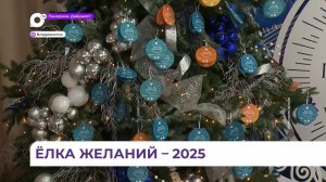 Благотворительная акция «Ёлка желаний» пройдет в Приморье