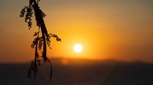 2025-08-30 - Крит, Греция