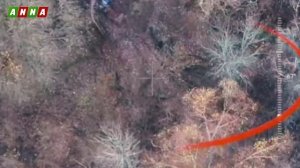 ANNA_сибиряки