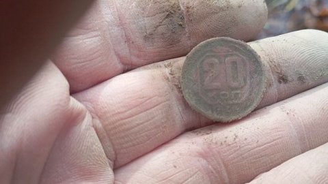 копаю в пригородных лесах+33