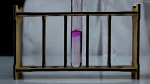 Химия 9. Практическая работа №4 "Реакция нейтрализации NH4OH  соляной кислотой"