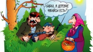 Чем дальше в лес, тем толще партизаны.