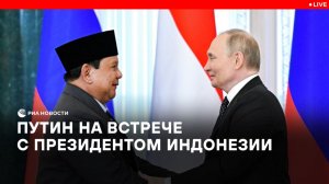 Путин на встрече с президентом Индонезии Субианто
