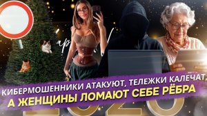 Ёлка для кошек, яд в открытках и летящие тележки: Почему готовиться к Новому году стало опасно...