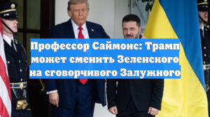 Профессор Саймонс: Трамп может сменить Зеленского на сговорчивого Залужного