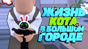 ЧЁРНЫЙ КОТ КРЫШУЕТ ГОРОД 🐈 в Little Kitty Big City