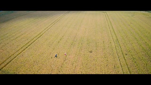 Наташа НедоСтюардесса _ Русский трейлер _ Фильм 2025