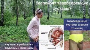 Главная артерия ноги зажимается, не может кормить тазобедренные суставы и колени. Упражнения